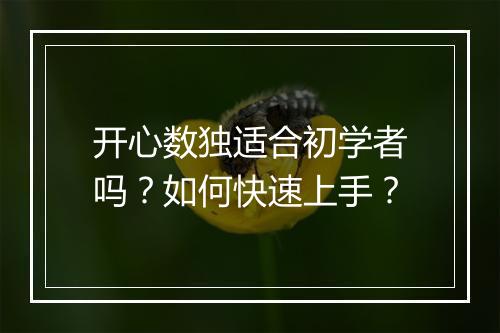 开心数独适合初学者吗？如何快速上手？