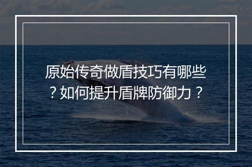 原始传奇做盾技巧有哪些？如何提升盾牌防御力？
