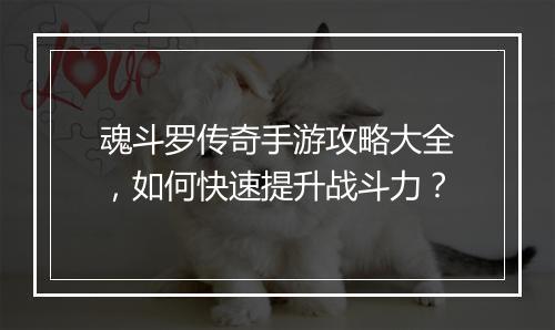 魂斗罗传奇手游攻略大全，如何快速提升战斗力？