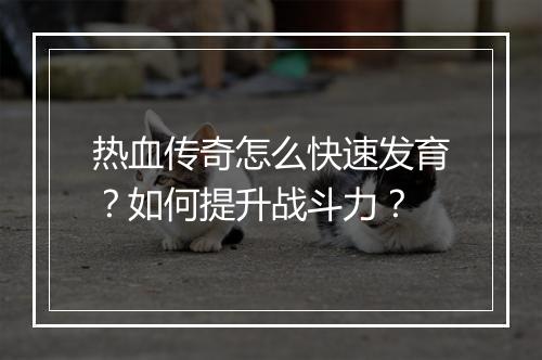 热血传奇怎么快速发育？如何提升战斗力？