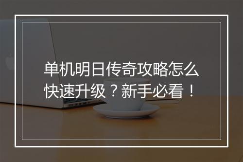 单机明日传奇攻略怎么快速升级？新手必看！