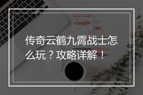传奇云鹤九霄战士怎么玩？攻略详解！