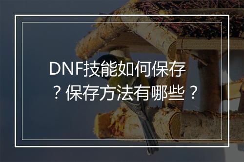 DNF技能如何保存？保存方法有哪些？