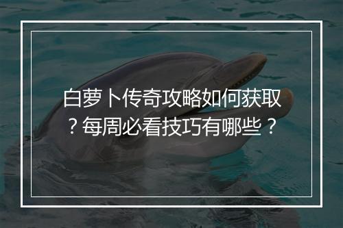 白萝卜传奇攻略如何获取？每周必看技巧有哪些？