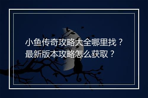 小鱼传奇攻略大全哪里找？最新版本攻略怎么获取？