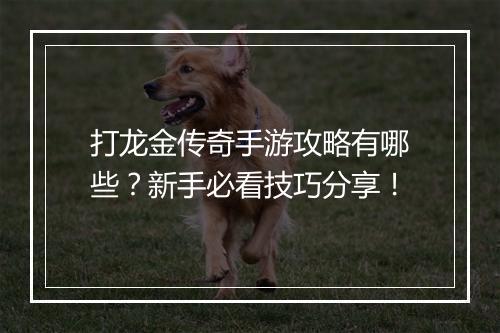 打龙金传奇手游攻略有哪些？新手必看技巧分享！