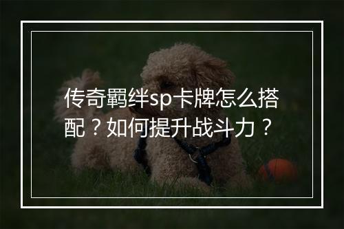 传奇羁绊sp卡牌怎么搭配？如何提升战斗力？