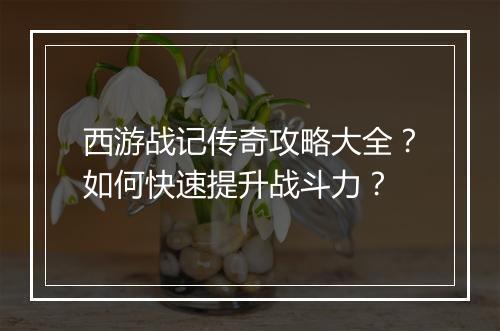 西游战记传奇攻略大全？如何快速提升战斗力？
