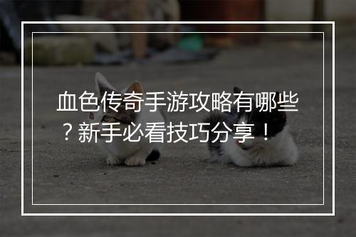 血色传奇手游攻略有哪些？新手必看技巧分享！