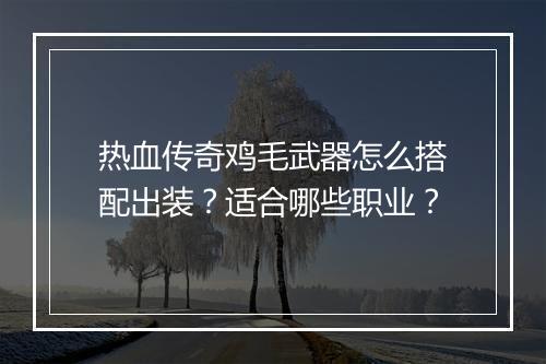 热血传奇鸡毛武器怎么搭配出装？适合哪些职业？