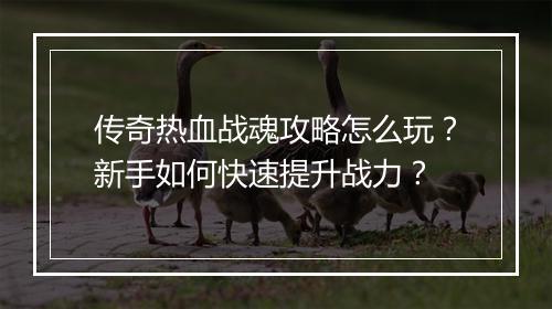 传奇热血战魂攻略怎么玩？新手如何快速提升战力？