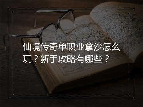 仙境传奇单职业拿沙怎么玩？新手攻略有哪些？