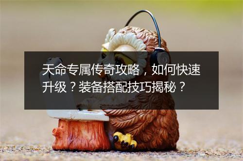天命专属传奇攻略，如何快速升级？装备搭配技巧揭秘？