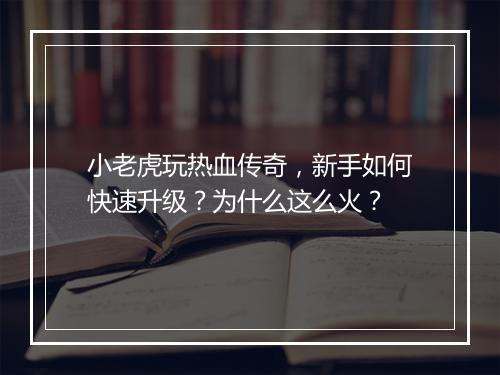 小老虎玩热血传奇，新手如何快速升级？为什么这么火？