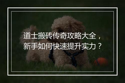 道士搬砖传奇攻略大全，新手如何快速提升实力？