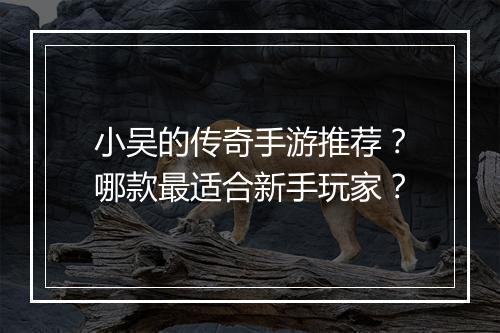 小吴的传奇手游推荐？哪款最适合新手玩家？