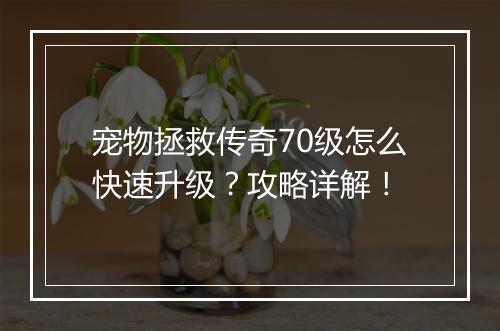 宠物拯救传奇70级怎么快速升级？攻略详解！