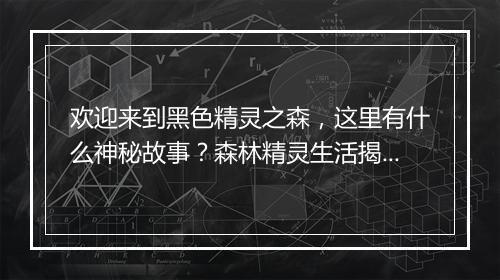 欢迎来到黑色精灵之森，这里有什么神秘故事？森林精灵生活揭秘？