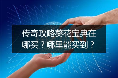 传奇攻略葵花宝典在哪买？哪里能买到？