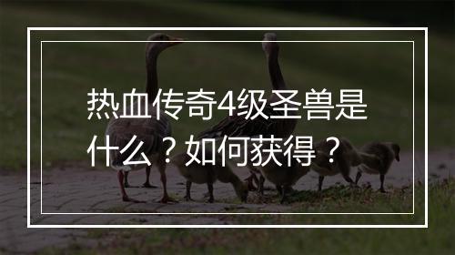热血传奇4级圣兽是什么？如何获得？