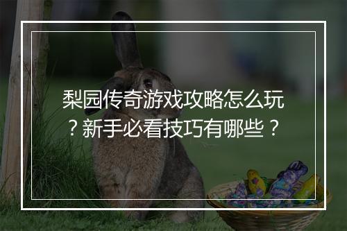 梨园传奇游戏攻略怎么玩？新手必看技巧有哪些？