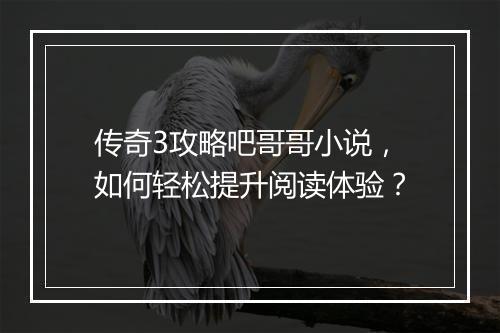 传奇3攻略吧哥哥小说，如何轻松提升阅读体验？