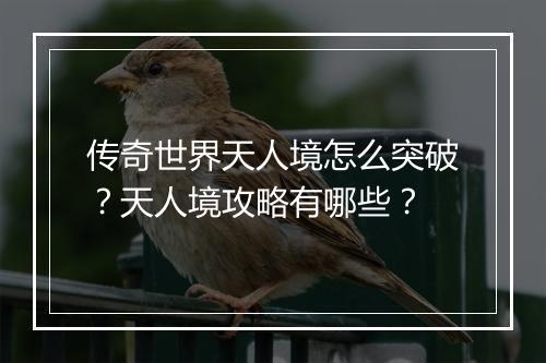 传奇世界天人境怎么突破？天人境攻略有哪些？