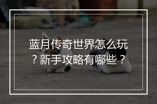 蓝月传奇世界怎么玩？新手攻略有哪些？