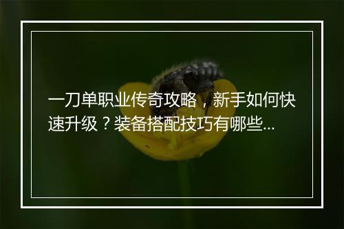 一刀单职业传奇攻略，新手如何快速升级？装备搭配技巧有哪些？