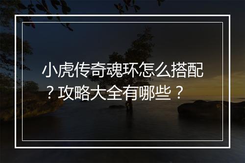 小虎传奇魂环怎么搭配？攻略大全有哪些？