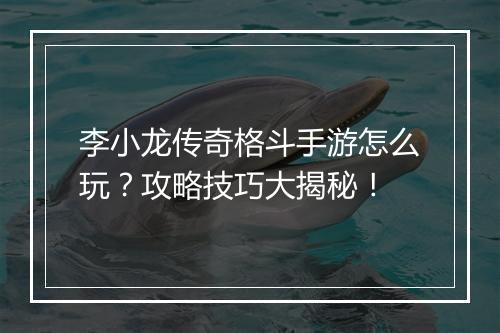李小龙传奇格斗手游怎么玩？攻略技巧大揭秘！