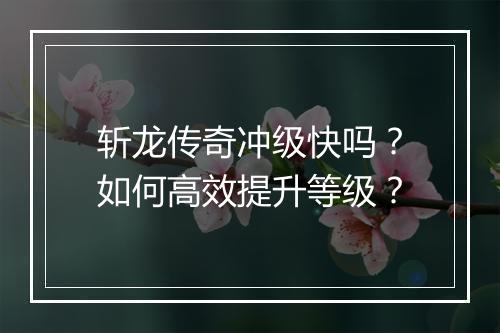 斩龙传奇冲级快吗？如何高效提升等级？
