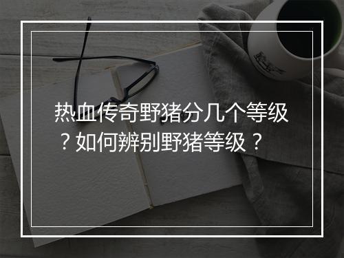 热血传奇野猪分几个等级？如何辨别野猪等级？
