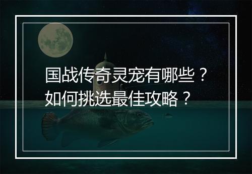 国战传奇灵宠有哪些？如何挑选最佳攻略？