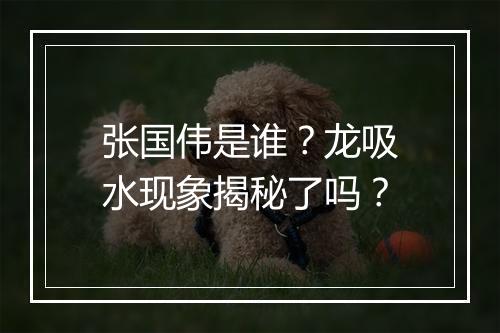 张国伟是谁？龙吸水现象揭秘了吗？