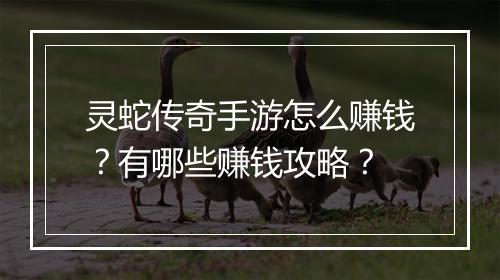 灵蛇传奇手游怎么赚钱？有哪些赚钱攻略？