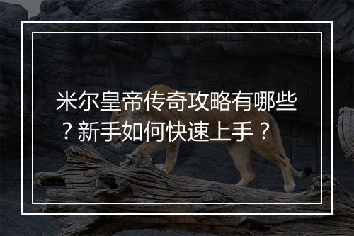 米尔皇帝传奇攻略有哪些？新手如何快速上手？
