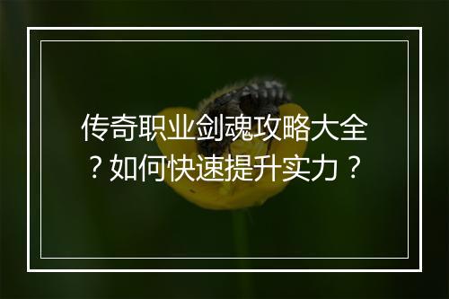 传奇职业剑魂攻略大全？如何快速提升实力？
