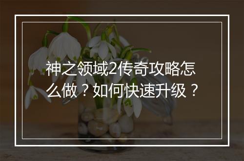 神之领域2传奇攻略怎么做？如何快速升级？
