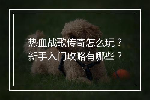 热血战歌传奇怎么玩？新手入门攻略有哪些？