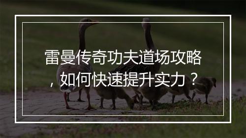 雷曼传奇功夫道场攻略，如何快速提升实力？