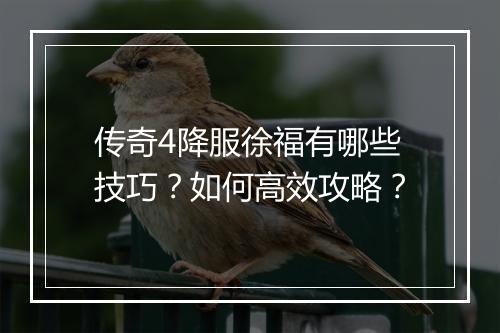 传奇4降服徐福有哪些技巧？如何高效攻略？