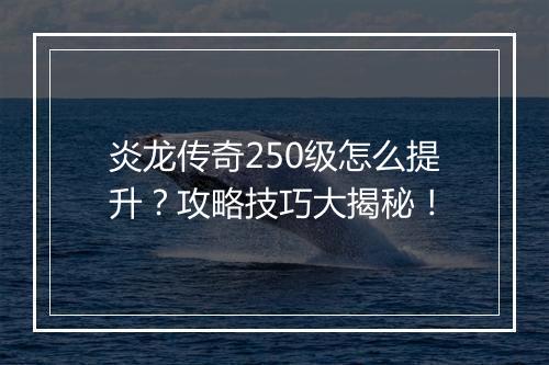 炎龙传奇250级怎么提升？攻略技巧大揭秘！