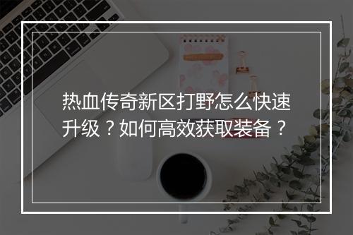 热血传奇新区打野怎么快速升级？如何高效获取装备？