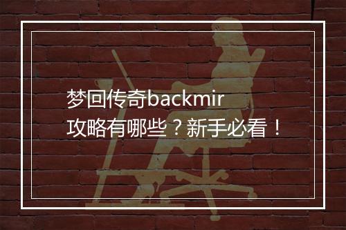 梦回传奇backmir攻略有哪些？新手必看！