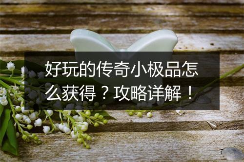 好玩的传奇小极品怎么获得？攻略详解！