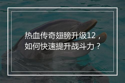 热血传奇翅膀升级12，如何快速提升战斗力？
