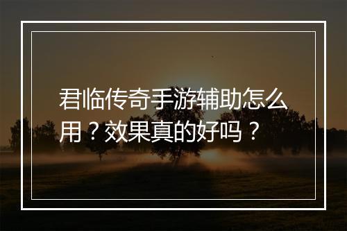 君临传奇手游辅助怎么用？效果真的好吗？
