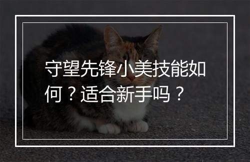 守望先锋小美技能如何？适合新手吗？