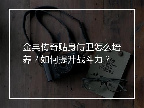 金典传奇贴身侍卫怎么培养？如何提升战斗力？